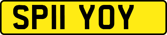 SP11YOY