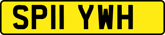 SP11YWH