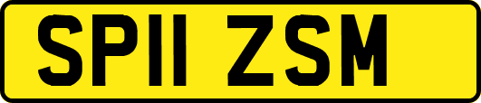 SP11ZSM