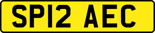 SP12AEC