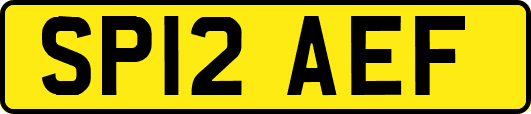 SP12AEF