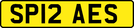 SP12AES