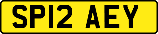 SP12AEY