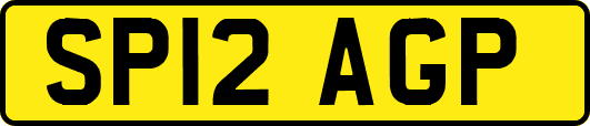 SP12AGP