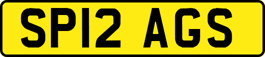 SP12AGS