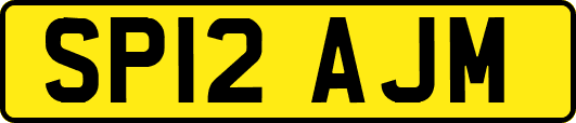 SP12AJM