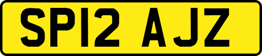 SP12AJZ
