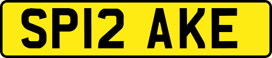 SP12AKE