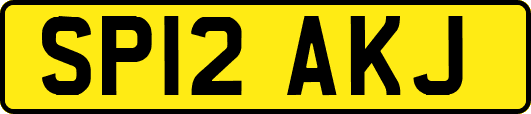 SP12AKJ