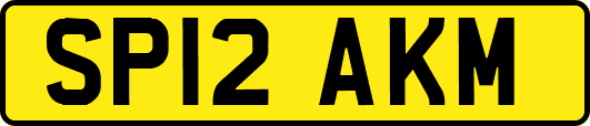 SP12AKM