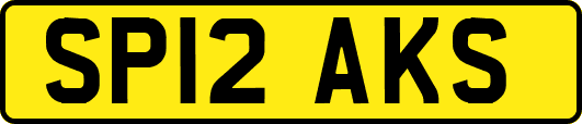 SP12AKS