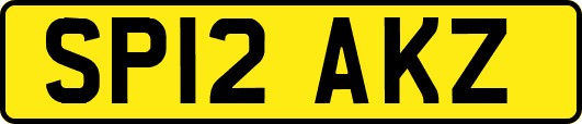 SP12AKZ