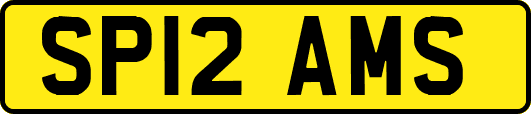 SP12AMS