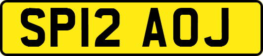 SP12AOJ