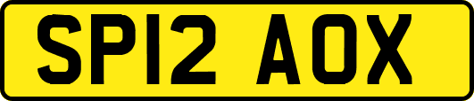 SP12AOX