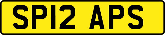 SP12APS