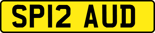 SP12AUD