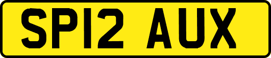 SP12AUX