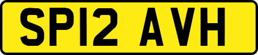 SP12AVH