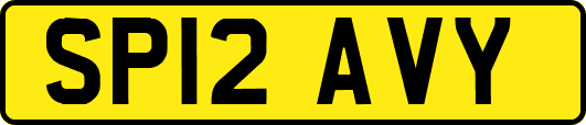 SP12AVY