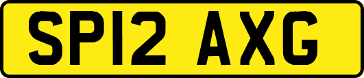 SP12AXG