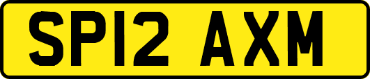 SP12AXM