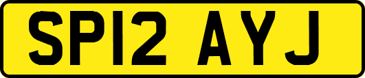 SP12AYJ