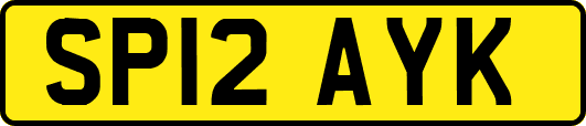 SP12AYK