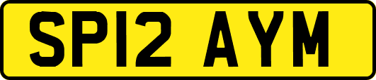 SP12AYM