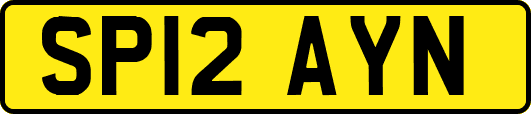SP12AYN