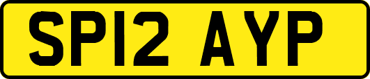 SP12AYP