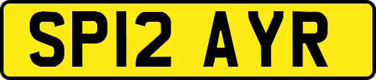 SP12AYR