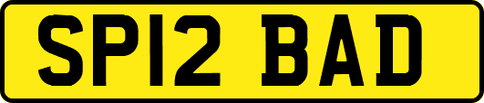 SP12BAD