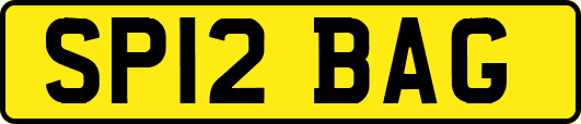 SP12BAG