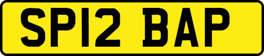 SP12BAP