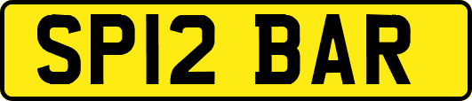 SP12BAR