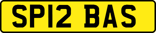 SP12BAS