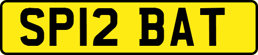SP12BAT