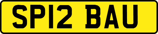 SP12BAU