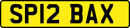 SP12BAX