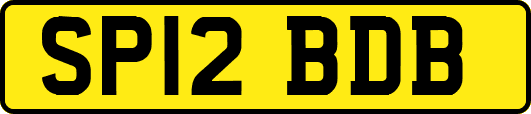 SP12BDB