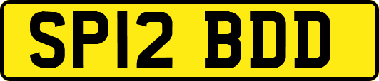 SP12BDD