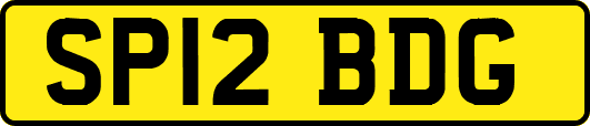 SP12BDG