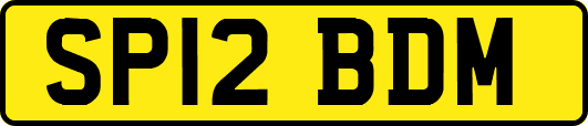 SP12BDM