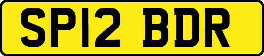 SP12BDR