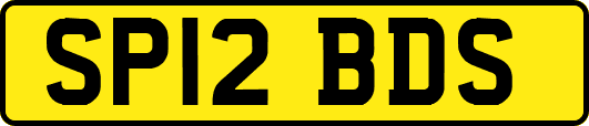 SP12BDS