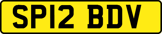 SP12BDV