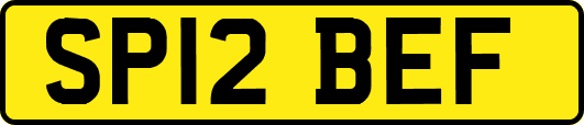 SP12BEF