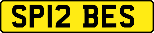 SP12BES
