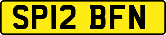 SP12BFN